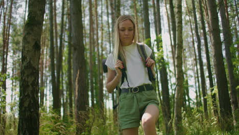 Slow-motion-footage-of-a-woman-walking-along-a-forest-road-with-a-backpack-through-a-pine-forest-through-grass